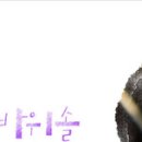 피니진 네이버블로그