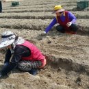 법인햇살농원