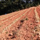 정민농장 이미지