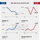 고려제약(주) 이미지
