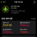 팰롱팰롱 이미지