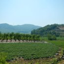 단강보건진료소 이미지