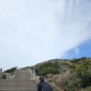 한라산이 주인공인 제주여행