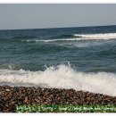 동해바다 이미지