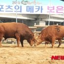 인생로또 이미지