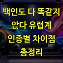 발트슈테른협동조합 | 백인도 다 똑같지 않다 유럽계 인종별 차이점 총정리