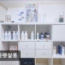 안다펫살롱 | (평택, 강아지, 고양이, 애견미용, 추천!) 안다펫살롱 안다펫살롱, 믿을 수 있는 미용실