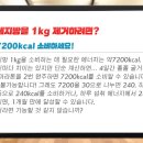 사십피트 이미지