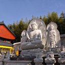 안심정사 논산본찰에 방문했습니다 이미지