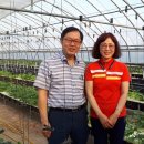 이순석농장 이미지