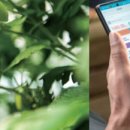 우두농장 이미지