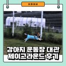 제이그라운드 - 강아지 운동장 대관 정보 및 후기