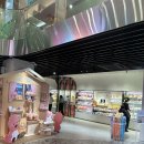 [신논현/강남카페] 노티드 강남 카카오 평일 방문후기