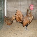 문영식 농장 이미지