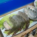 갈매기 마을 이미지