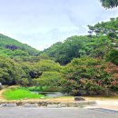 효자비 | 전남 담양 배롱나무꽃 명소 명옥헌 원림 돌아본 늦은 후기 꽃은 내년을 기대하세요.