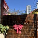 (주)디엔 | 호치민 타오디엔 마사지샵 - Lang Spa(랑스파)