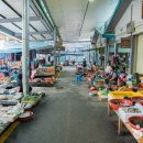 비아중앙로 이미지