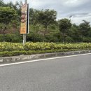 흥사 | 다낭 바나힐 입장권 클룩 바나힐 뽕뽑은 루트 바나힐 총정리 후기