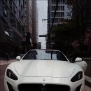 강남렌트카 이미지