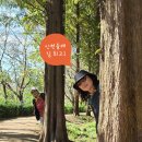 장수천변(현대아파트 뒤) | 인천 도심 속 숨겨진 생태 오아시스를 걷는 길, 인천둘레길 6코스 소래길