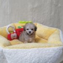 간식타이밍 이미지