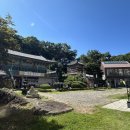 진행정사 이미지