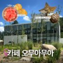 사인암 | [단양] 단양 “카페 오무아무아”솔직 후기 ⭐️ 사인암 근처 카페 추천 자몽빙수 맛집