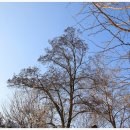 무지랭이 약수터 이미지