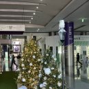 삼성동-23 | 삼성동 결혼식 : 코엑스 그래머시 그랜드볼룸 하객 후기