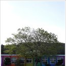 애월초등학교 이미지