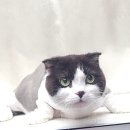 청라원 이미지