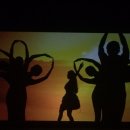 쉐도우비전 이미지