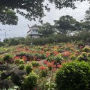 제주허브동산 이미지