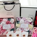 SJ 인터내셔날 이미지