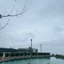 A Spirit of Journey(에이 스피릿 오브 저니) 이미지