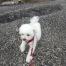 우진황토펜션 이미지