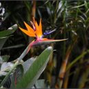 (주)고귀 이미지