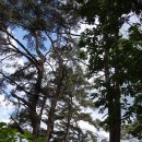 청풍명월펜션 이미지