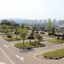 흥덕5길 등 | 오송 운전면허학원 TOP 4: 합격 비결부터 비용까지 완벽 분석!