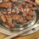GR(성주군)-[참별로]-상-20 | 성주 놀이방 식당 별고을 한우-소고기,육회 맛집