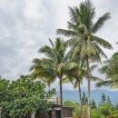 주니농장 이미지