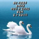 동서림한의원 네이버블로그