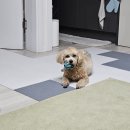 포유동물병원 이미지