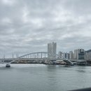 안다커피 | 부산 영도 카페 추천, 모모스커피 로스터리&커피바 방문 후기
