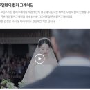 영화채널24 할인마트 | 본식 DVD 지조비주얼 계약후기 (짝꿍 할인O, 쿨톤 DVD, 영화같은 영상미)