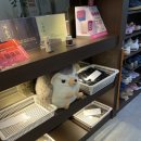 고슴도치한의원 이미지