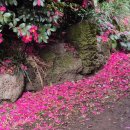 면목본동주민센터 사랑방 | 제주올레길 5코스 후기 2탄 _다시 사랑한다 말할까