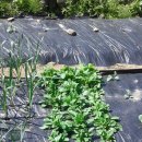 사슬치마을 이미지