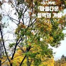 (주)백담 이미지